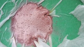 Download Lagu Pengendapan emas sistim basa dengan CU-nitrat , sampai menjadi logam. MP3