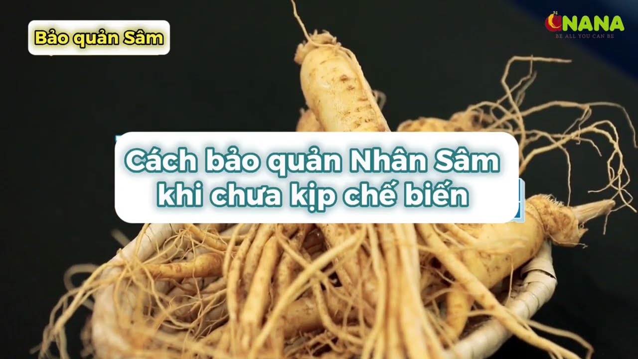Cách bảo quản sâm tươi được lâu - Giữ gìn sức khỏe và giá trị dinh dưỡng