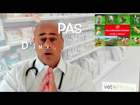 Vidéo: Big Box Et Pharmacies En Ligne, Et Comment être Sûr Que Les Médicaments De Votre Animal Sont Sûrs