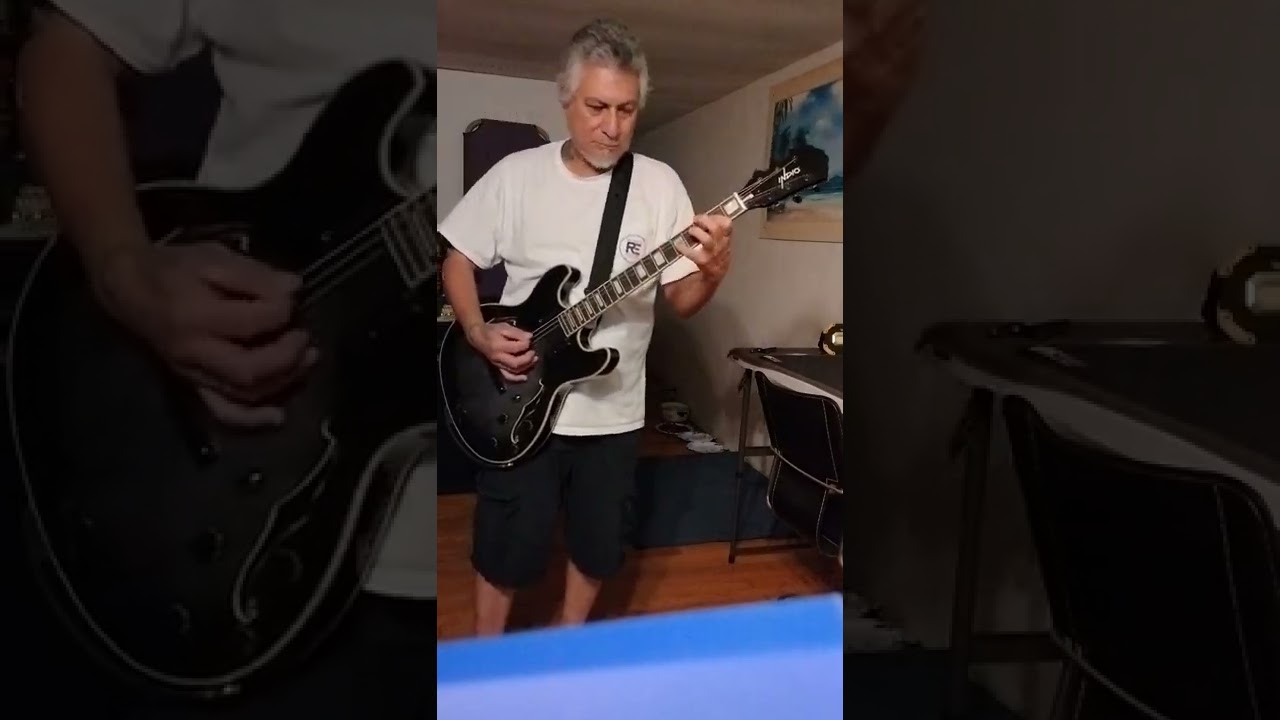 Indio guitar by monoprice hollow body grey/charcoal $239