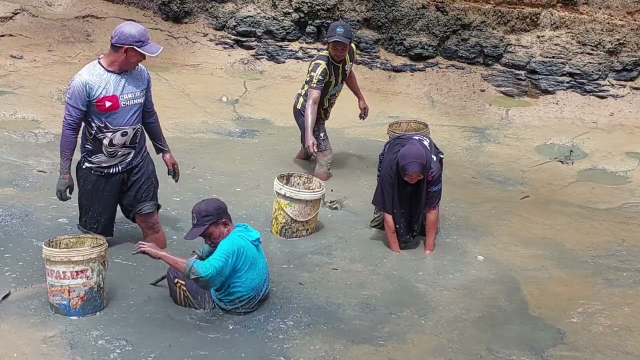 IKAN NILA DIKURAS LAGI