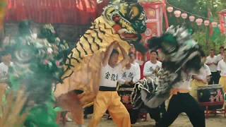 ip man final fight lion dance scene