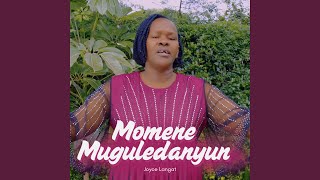 Momene Muguleldanyun