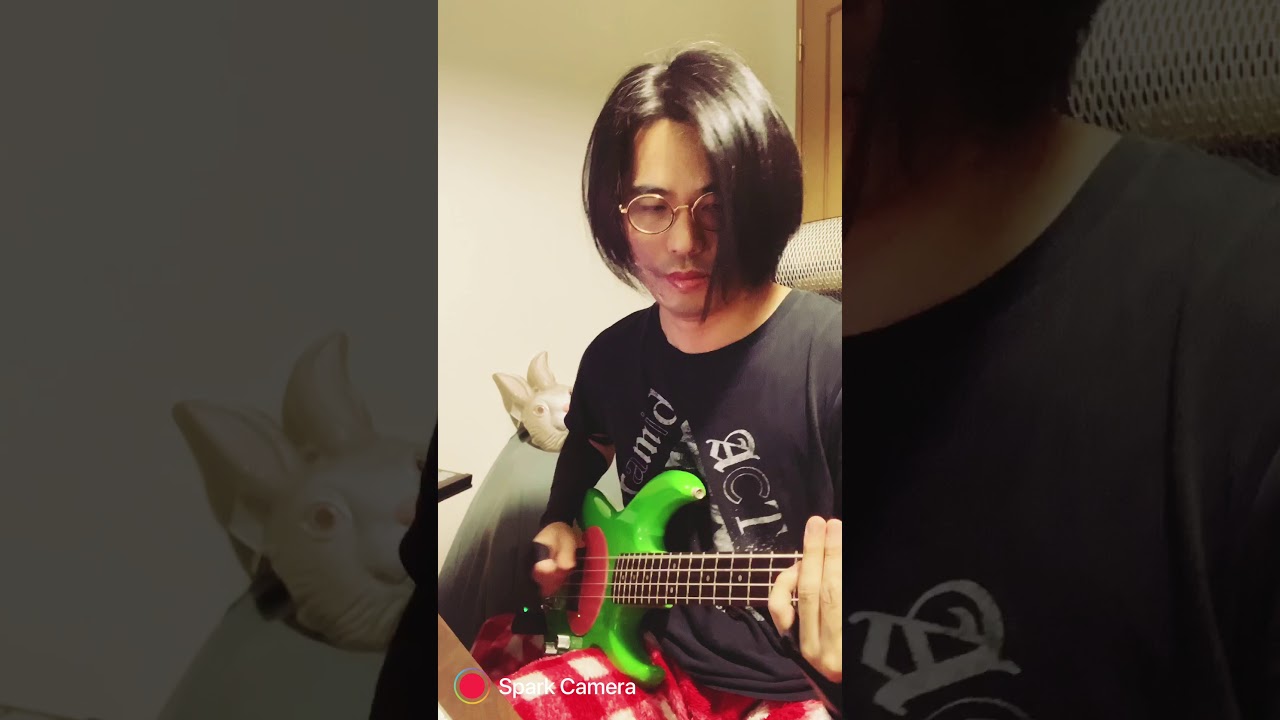 レッチリのフリーのブランドのFLEABASSでフィンガリングの練習してます 