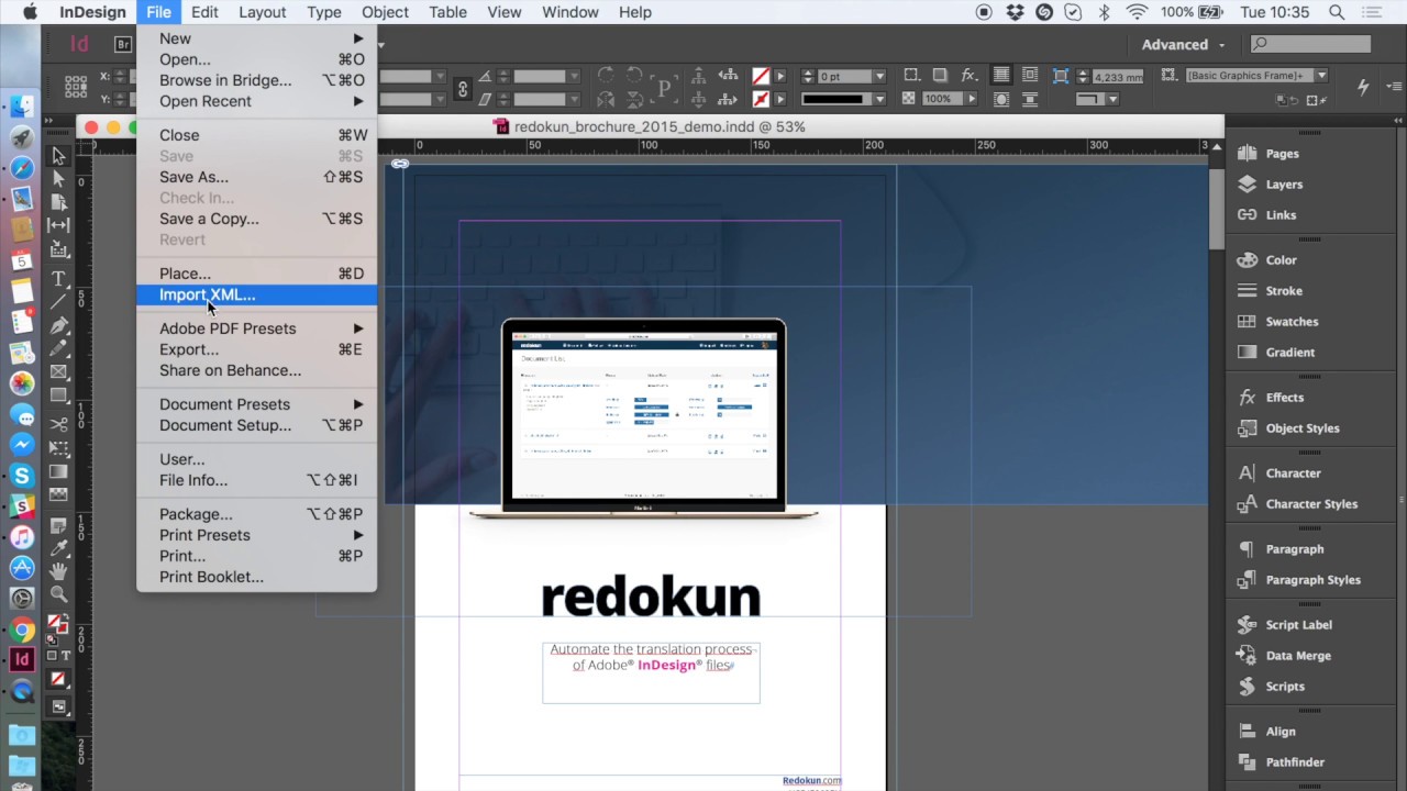 adobe indesign cs4 revealed