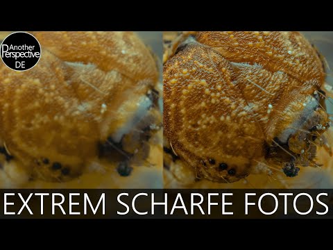 Extrem scharfe Fotos mit 2 einfachen Tipps | TOPAZ Denoise AI