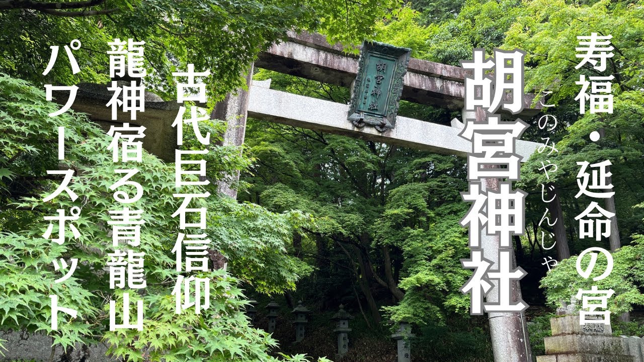 青龍山山頂の磐座『龍宮』古代巨石信仰のパワースポット‼️寿福・延命の宮【胡宮神社】⛩