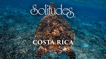 Dan Gibson’s Solitudes - In Search of the Green Turtle | Costa Rica