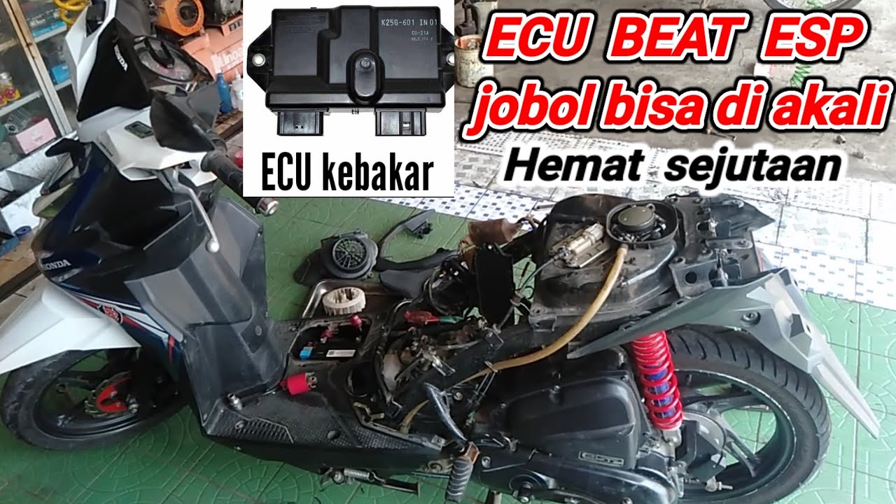 Cara akali ECU beat esp yang rusak kebakar menggunakan cdi Shogun | Part 2