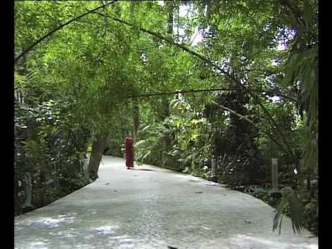 OSHO: The Silent Explosion - a visit to the Osho I...