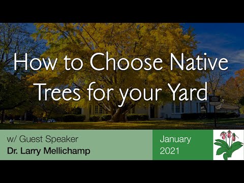 Video: How to Choose Native Trees for Your Yard