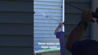 Soft Wash getting rid of Algae #pressurewashing #cleaning #house #massachusetts #homeowner #service screenshot 5