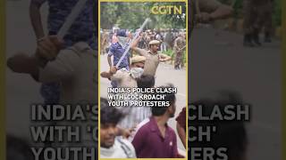 Why thousands of cockroach protesters took to the streets in India