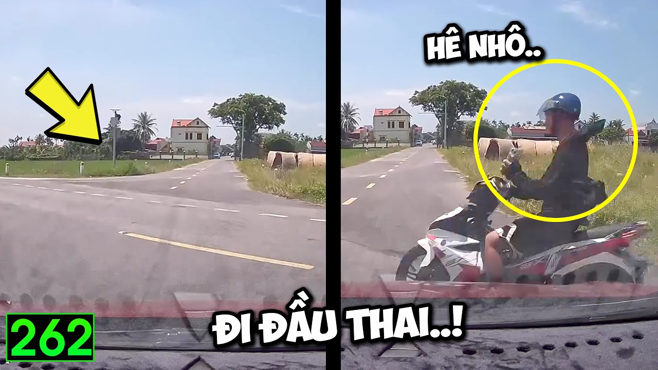 Latest Title & Thumbnail