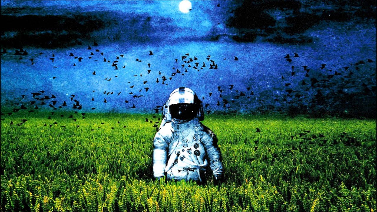 Heidi for President - Wasp