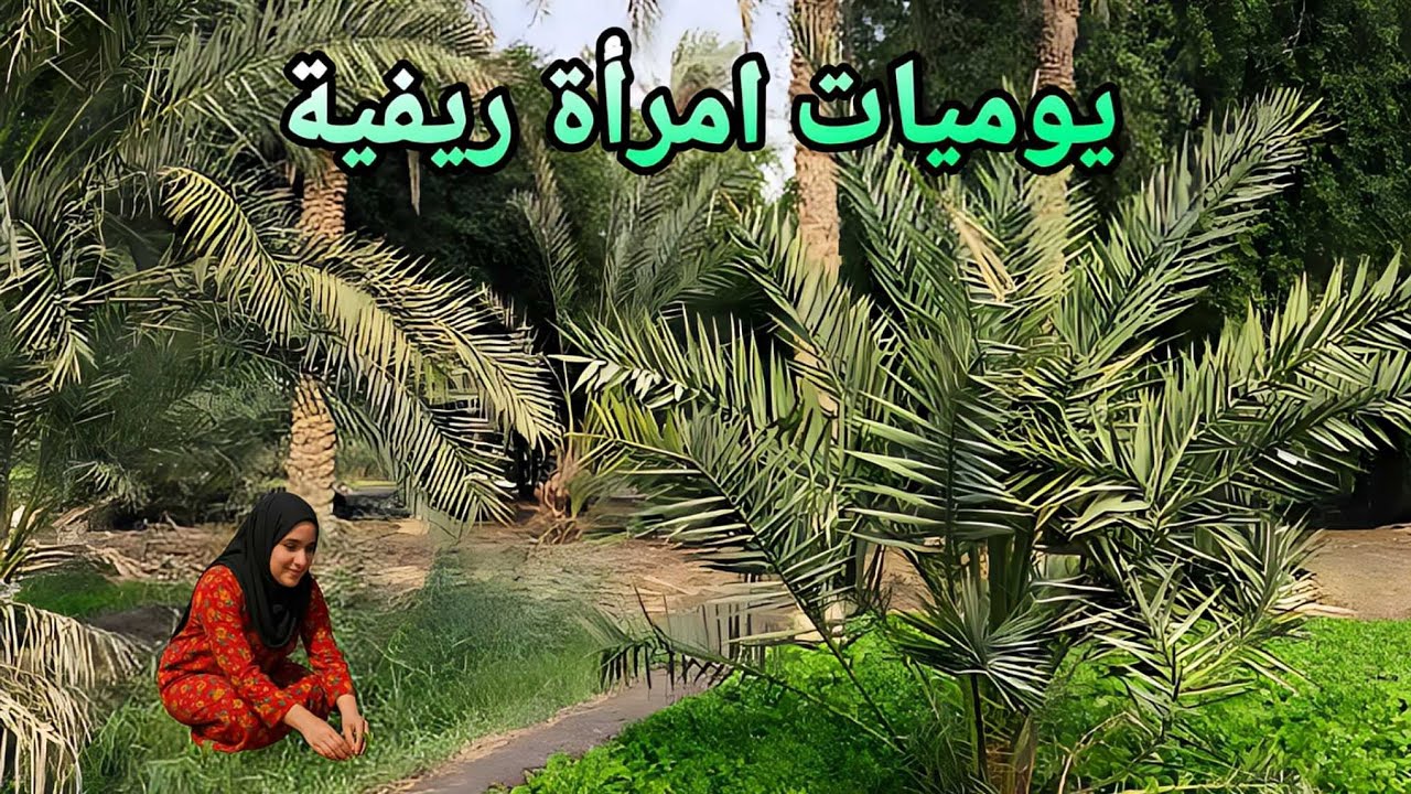 الريف العراقي 🇮🇶 | روتين فلاحة بصراوية 👩‍🌾 بأجواء البصرة الحارة ☀️حفرنه بير بالمزرعة 💧