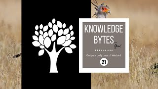 21. Knowledge Bytes - Amazing Facts