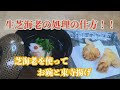 【生芝海老の処理のし方】〜お碗と東寺揚げを作りました！！