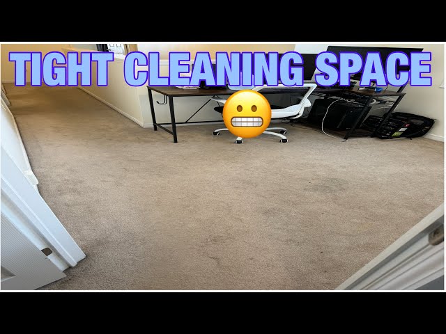 Another successful pet stain removal job