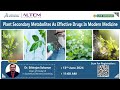 Plant Secondary Metabolites As Effective Drugs In Modern Medicine..