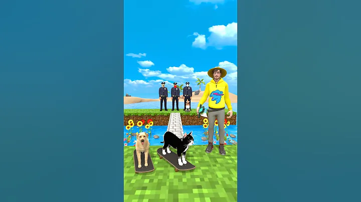 Video 11882341: cute cat chicken, cat vs cute dogs, cat funny dog cute