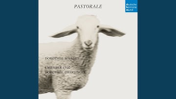 Recorder Concerto in C Major, RV 443: I. Allegro