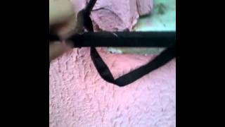 Mostrando A Área De Baixo Minha Tia Dançando