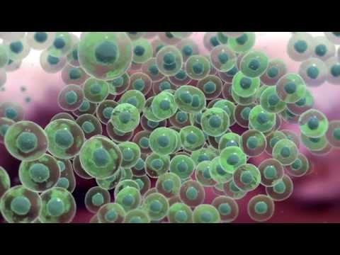 Precision Genomics Explained