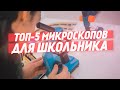 Выбор микроскопа для школьника | ТОП-5 микроскопов