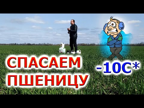 Бейне: Эндофит қай жерде кездеседі?