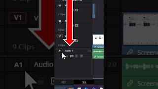 davinci resolve one side audio problem | how to fix audio only one side in davinci resolve