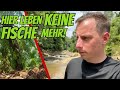 Palmöl Plantagen zerstören Gewässer &amp; Fisch-Populatioen | Sascha Hoyer Borneo Vlog