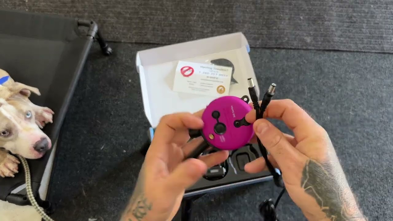 Ecollar training | how to charge Ecollar | obedience Kings dog training | puppy training 