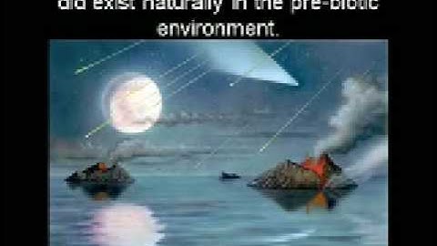 The Origin of The Genetic Code