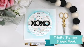 XOXO Shaker Card + Trinity Sneak Peek