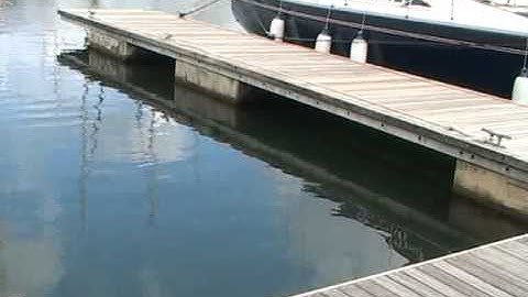 Waypoint Occ Opt.flv