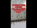 do NOT play with #mold ⚠️