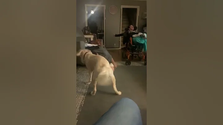 part one of wrestling with my dog