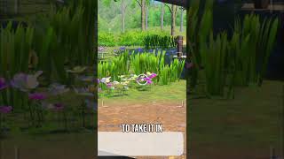New Pokémon Snap™: Capture Rare Pikachu – Secret Photo Tips!