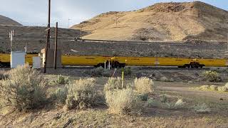 UP Defect Detector and a local Fernley move with Long hood forward