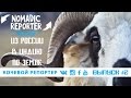 Ингушетия: в роли пастуха | Кочевой Репортер #2