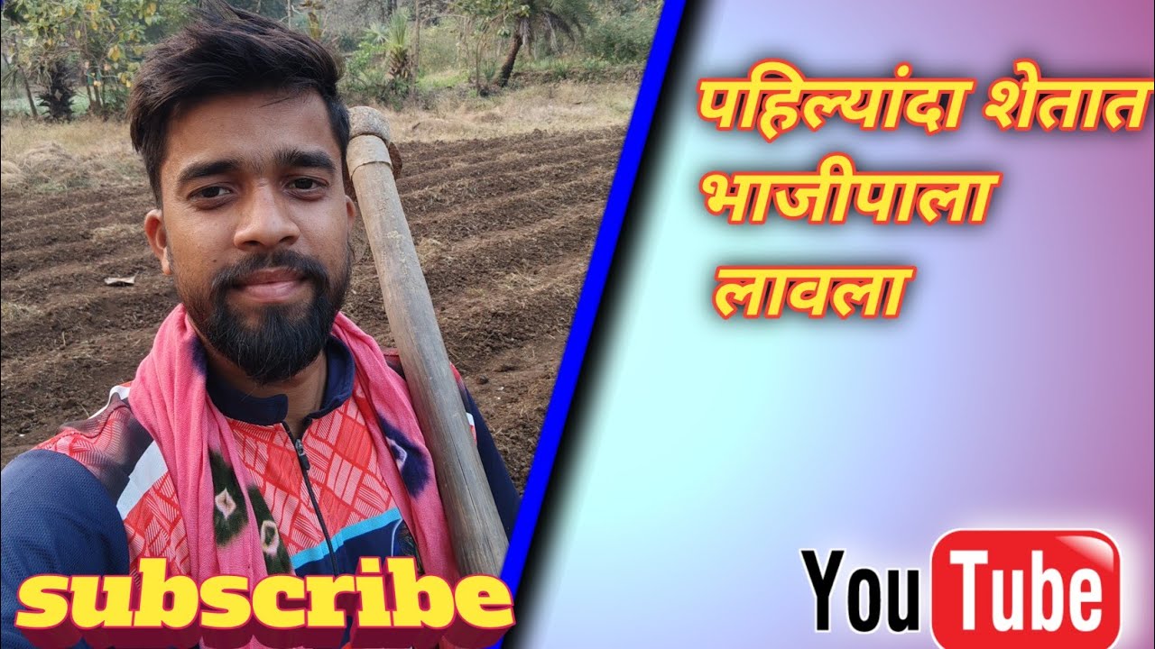 🫑शेतीचा अनुभव🫛// 🪴agriculture🌱// kheti🪴//manoj jhop vlog
