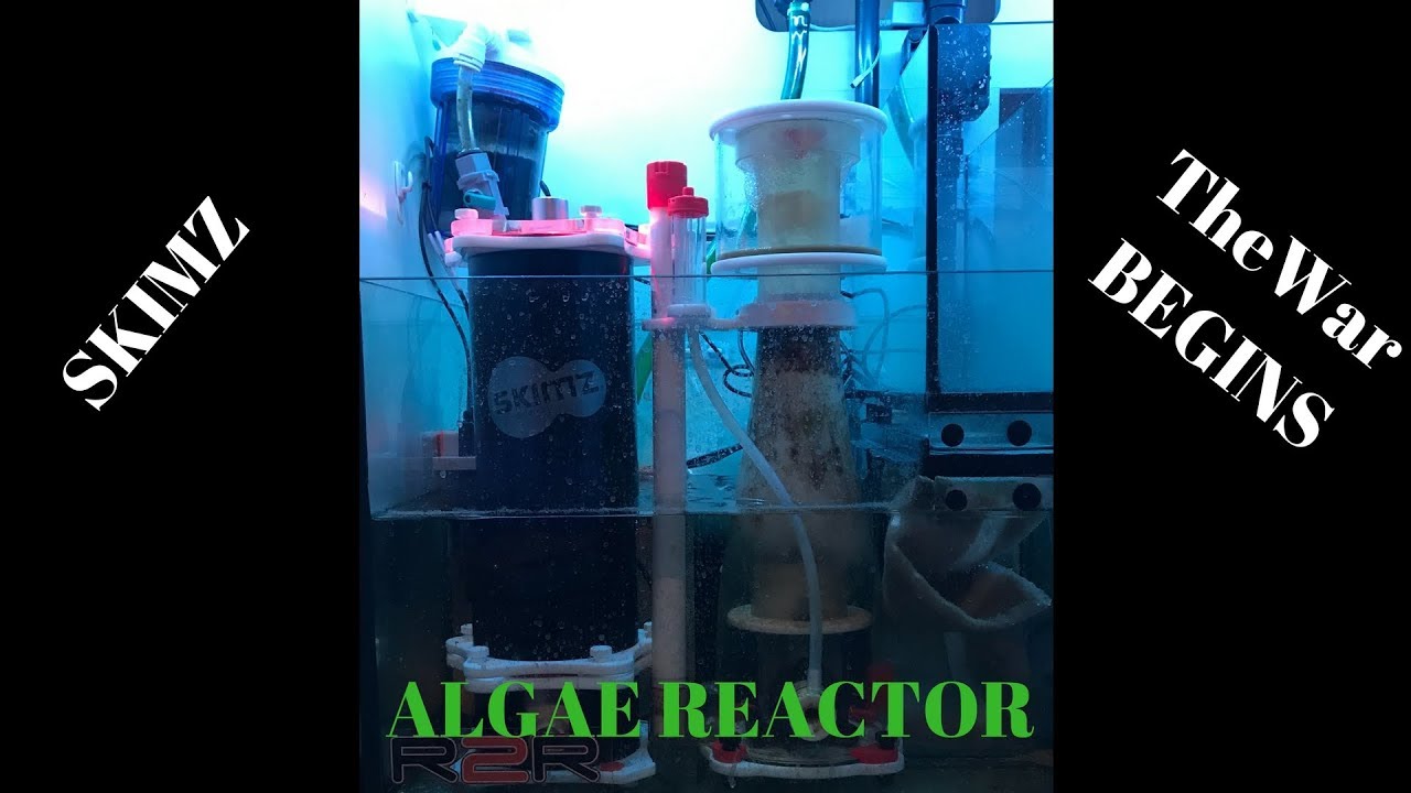 Skimz MBR127 Algae Reactor Unboxing ALGAE WARS!! YouTube