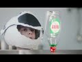 Fairy Liquid The Spaceship 2014 