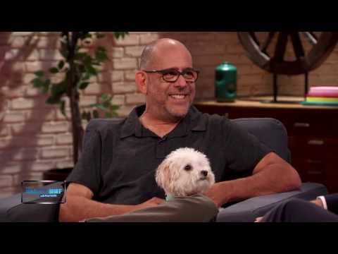 Steve Brooks on The Security Brief