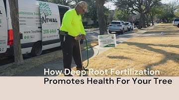 Deep Root Fertilization & Soil Conditioning with Wes Rivers 🌱 Unlocking the Secret to Healthy Trees