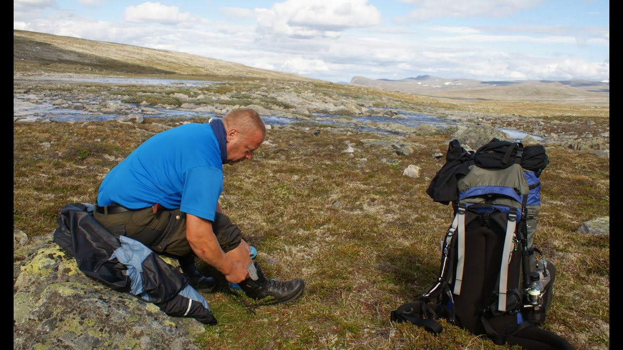 Dovrefjell - Sunndalsfjella National Park
