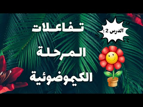 الدرس  أفضل شرح لتفاعلات المرحلة الكيمو ضوئية