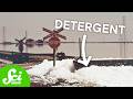 How Laundry Detergent Caused an Environmental Disaster