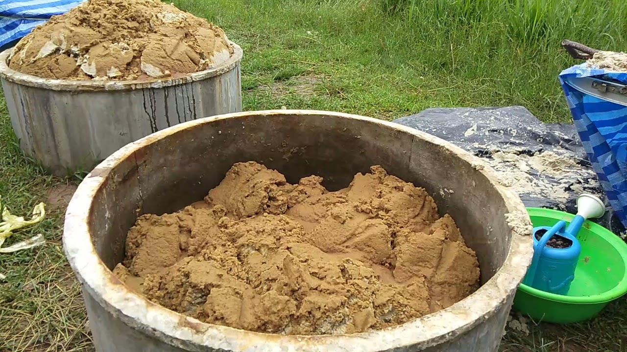 ทำกากมันหมักยีสต์